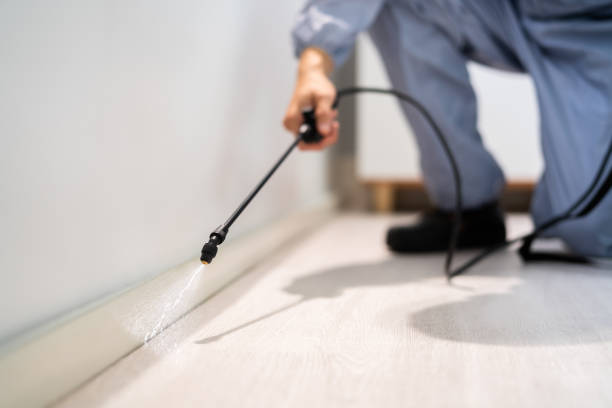 Pest Control Cost in Nicholson, GA