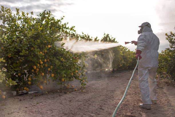 Best Affordable Pest Control Services  in Nicholson, GA