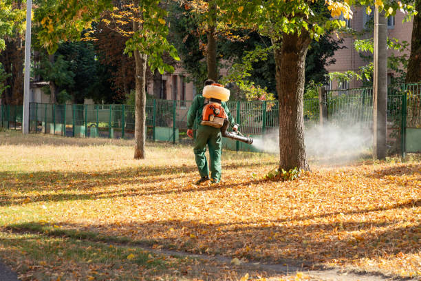 Best Local Pest Control Services  in Nicholson, GA