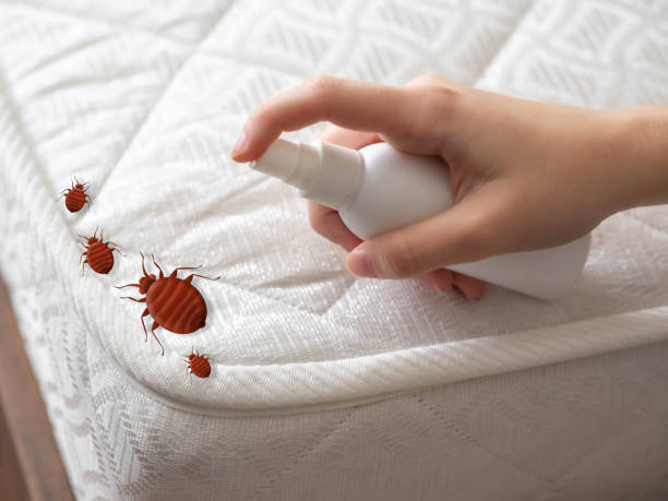 Trusted Nicholson, GA Pest Control Experts