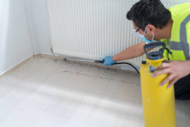 Best Emergency Pest Control  in Nicholson, GA