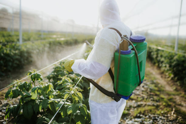 Best Residential Pest Control  in Nicholson, GA